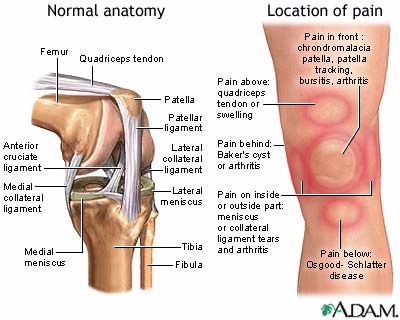 Your Knee Pain which at over your Knee Cap or Patella
