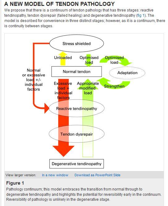 Tendinopathy Update Course  17th May 2014  08.45 am to 17.00