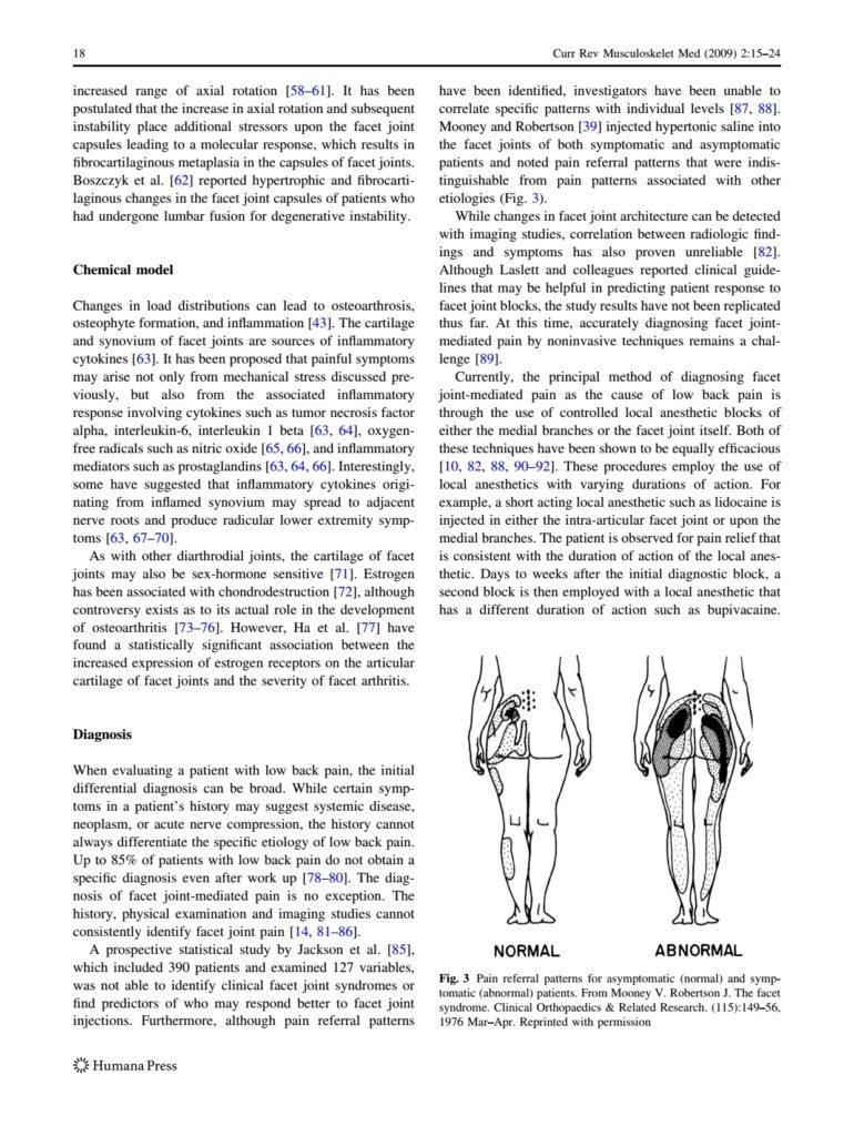 Lumbar Facet0004