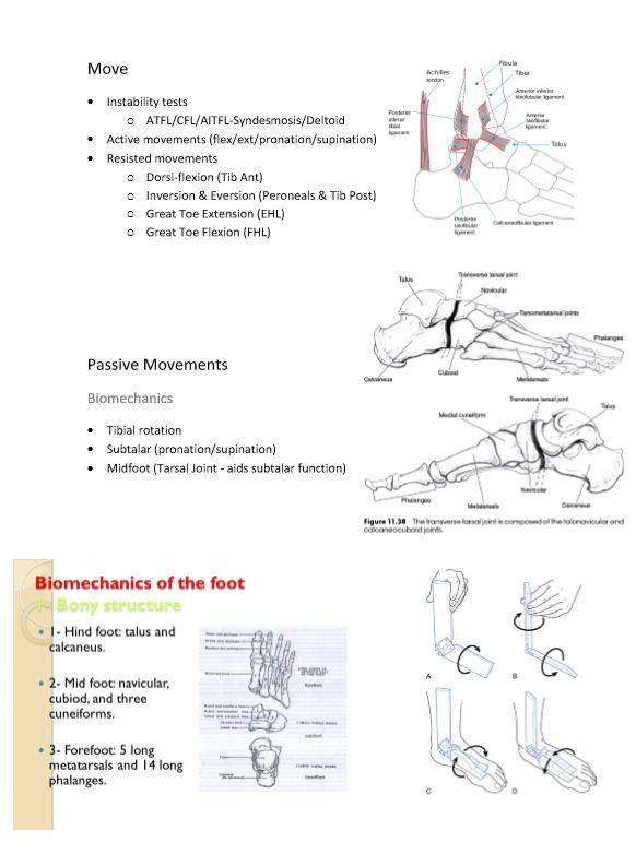 Ankle Sprain and Exercises - Osteopath Edinburgh