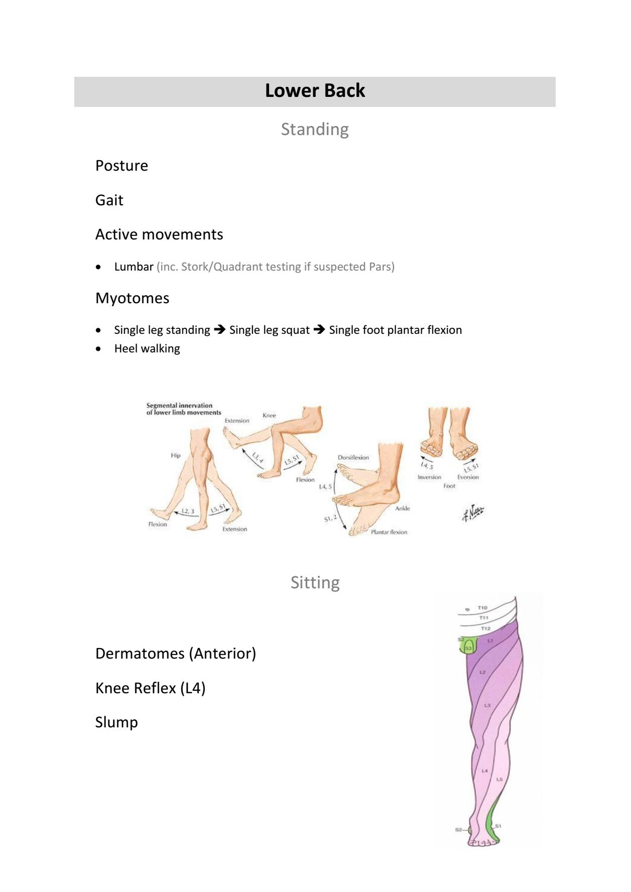 Low Back Pain with Exercises