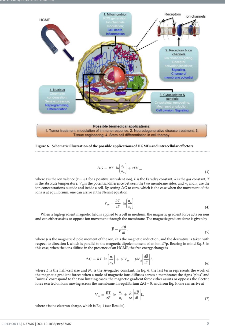 Magnetic Fields affecting Cell Life